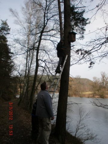 Nistkasten 030312 (58)